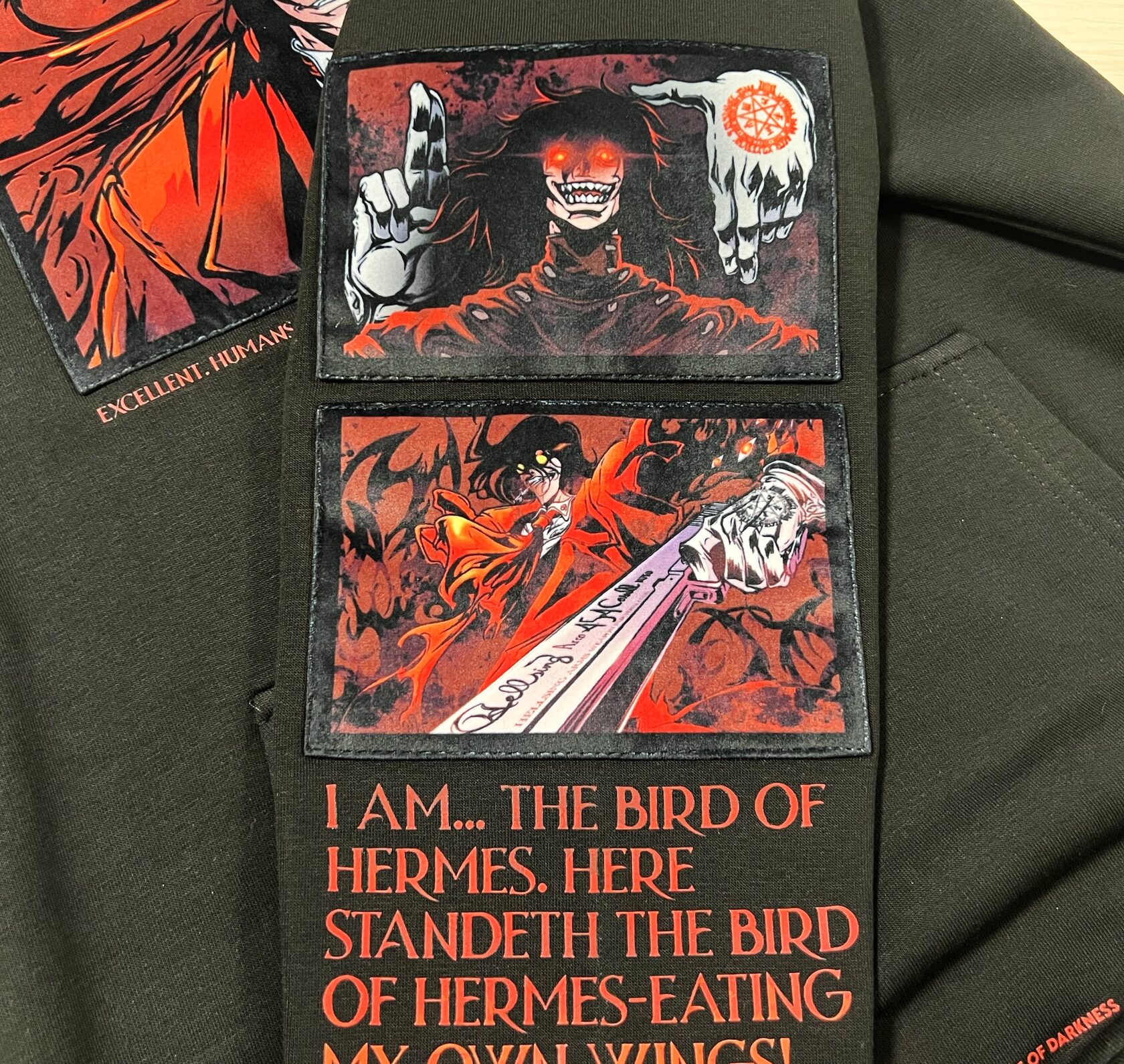 Худи / ALUKARD — изображение 4